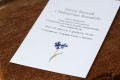 Zawiadomienie o ślubie z niezapominajką