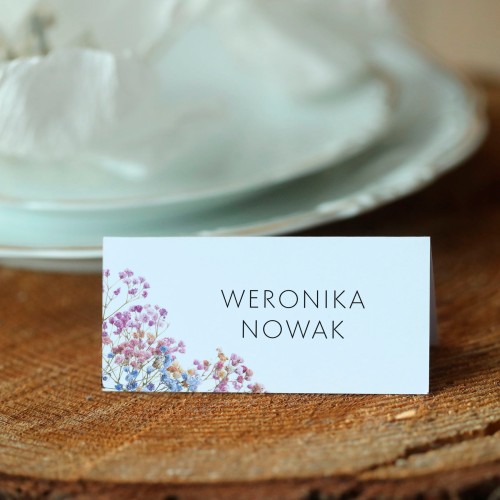 Winietki z kolorową gipsówką