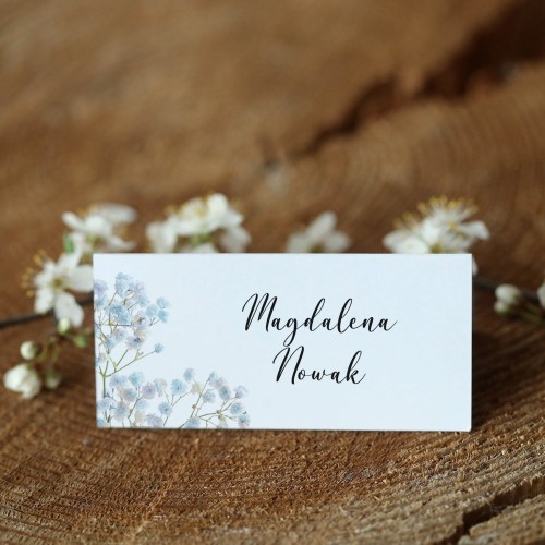 Winietki z niebieską gipsówką