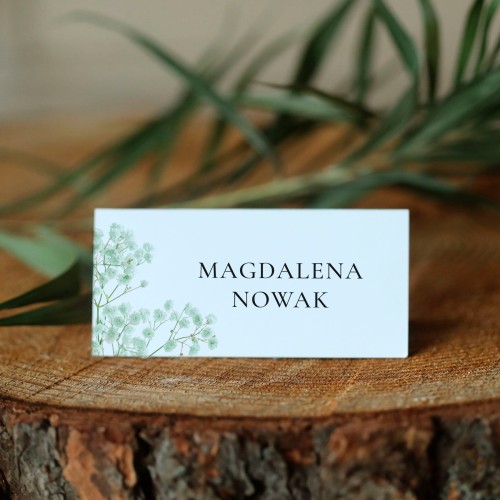 Winietki z zieloną gipsówką