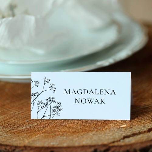 Winietki z rysowaną gipsówką