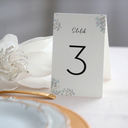 Numerki na stół z niebieską gipsówką