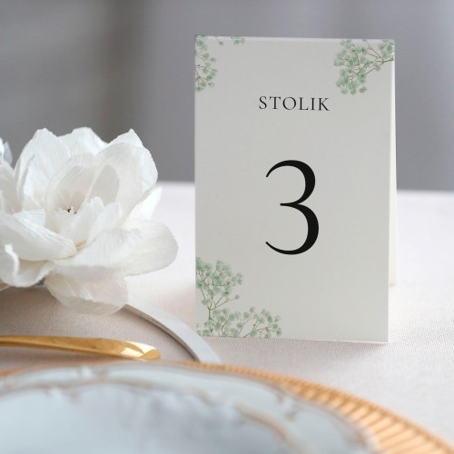 Numerki na stół z zieloną gipsówką