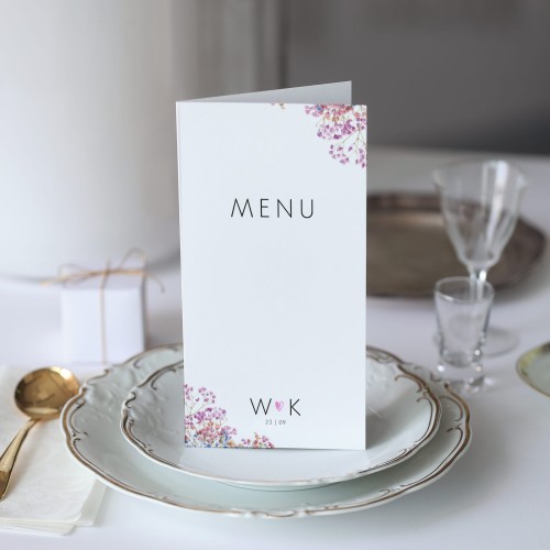 Karta menu z kolorową gipsówką