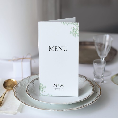 Karta menu z zieloną gipsówką