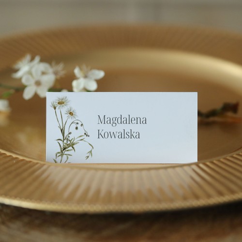 Winietki z akwarelową stokrotką