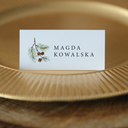 Zimowe winietki z gałązką