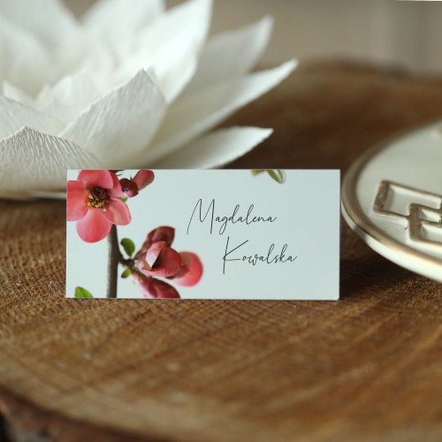 Winietki z kwitnącymi wiosennymi kwiatami